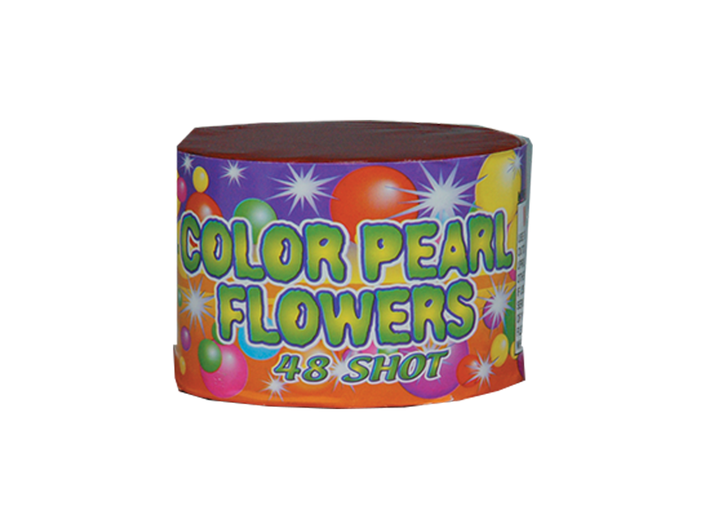 BM1304 48 Shot Color Pearl Flower 20/4