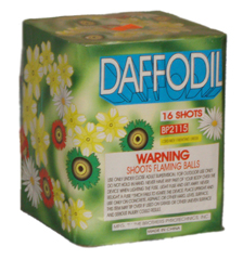 BP2115 Daffodil 24/1